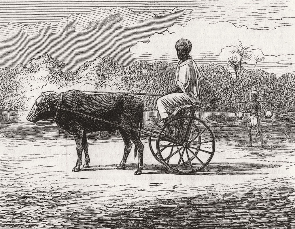 INDIA. Ramasawmy going to Bazaar, Chennai 1876 old antique print picture