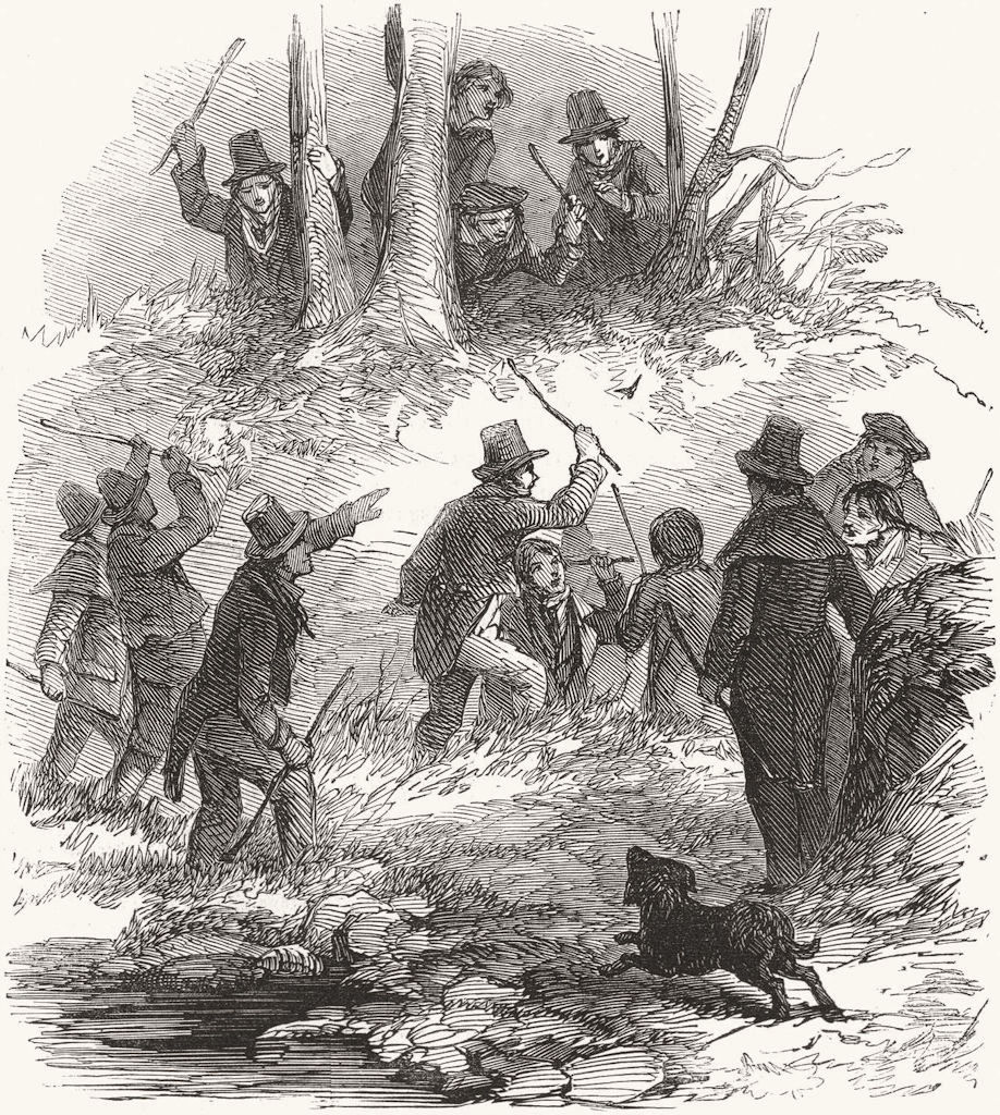HUNTING. Wren, Christmas 1850 old antique vintage print picture