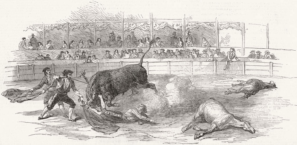 SPAIN. Bull-Fight, Madrid-accident to Montes, Matador 1850 old antique print