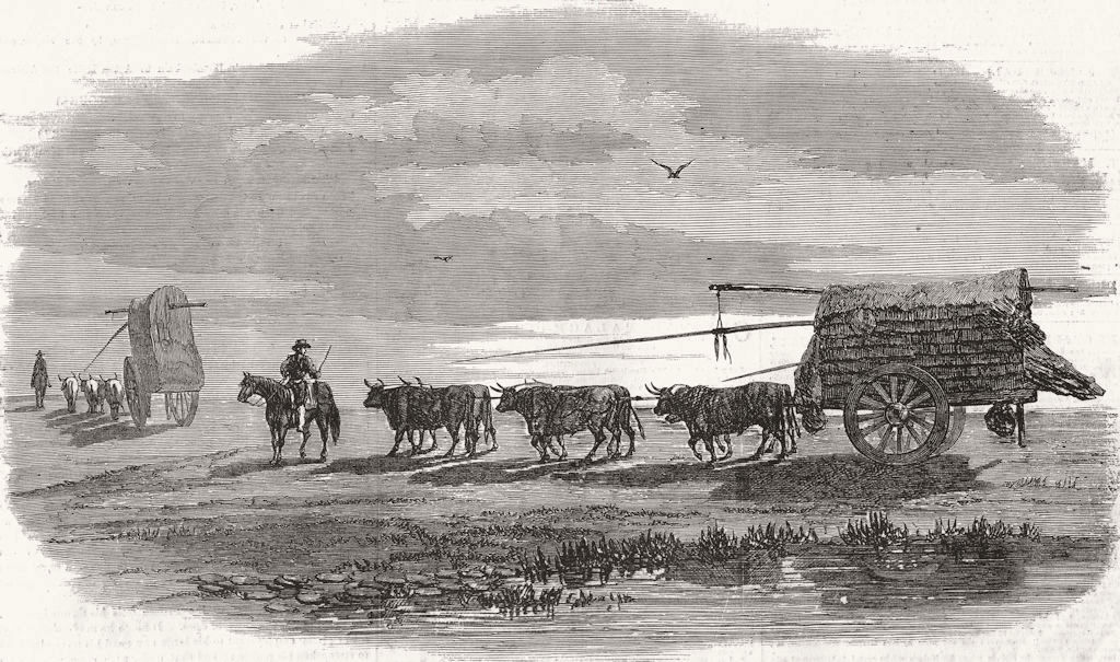 ARGENTINA. Buenos Aires. Ox-Carts traversing Pampas 1858 old antique print