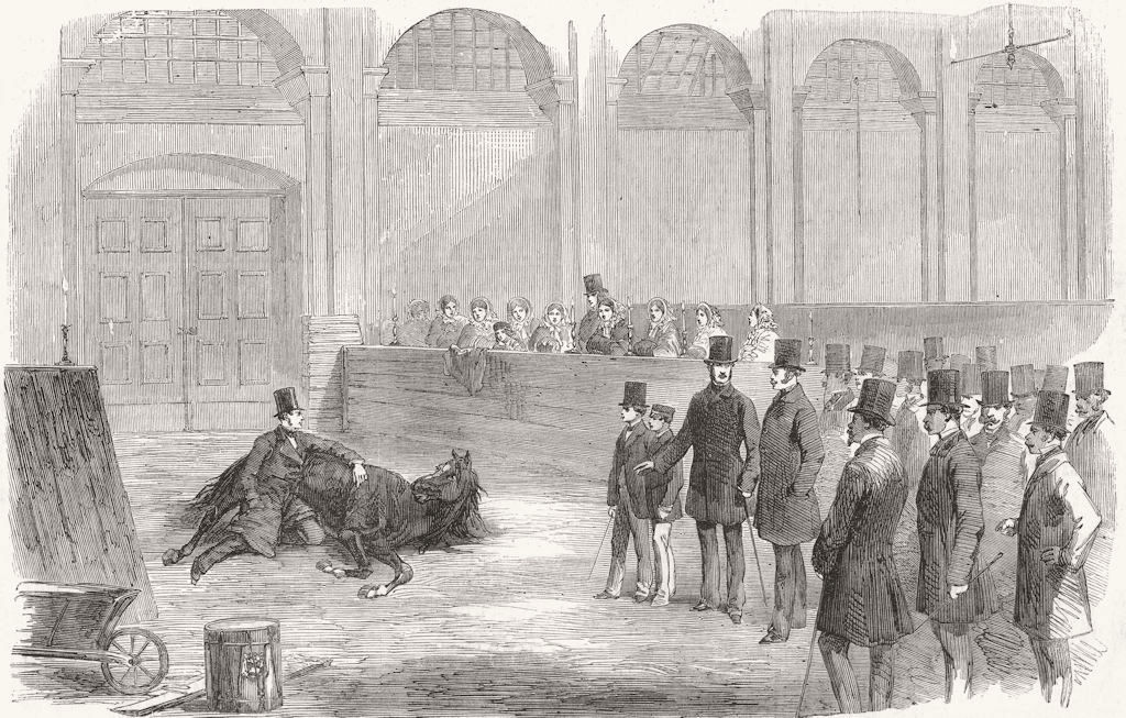 LONDON. American Horse-Tamer, Buckingham Palace 1858 old antique print picture