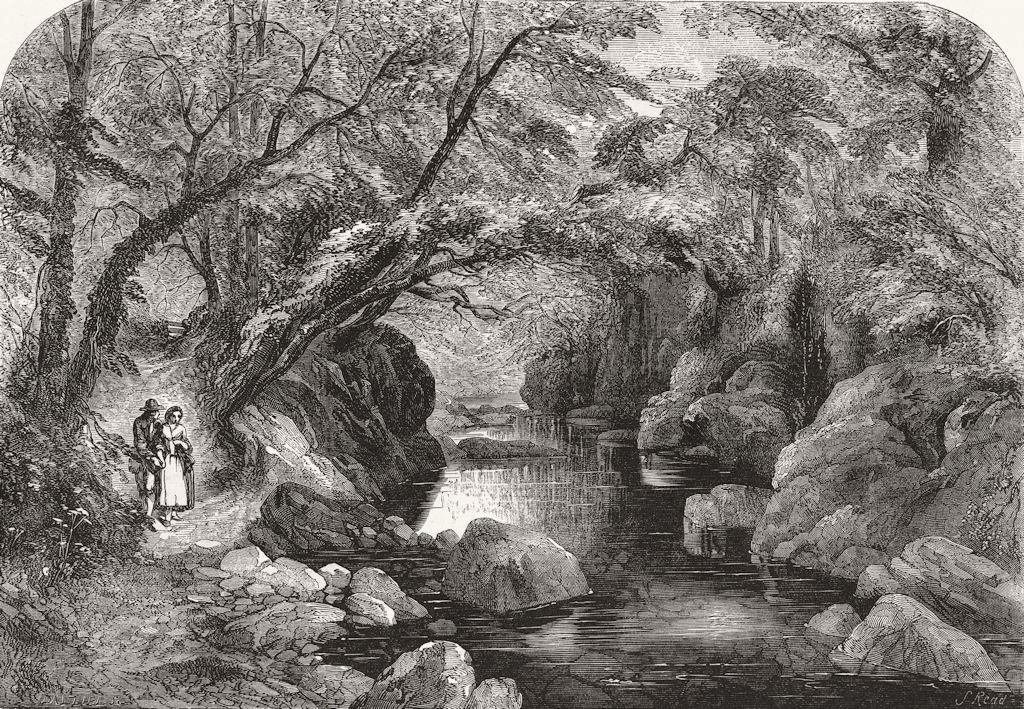 RIVERS. The woodland stream 1852 old antique vintage print picture