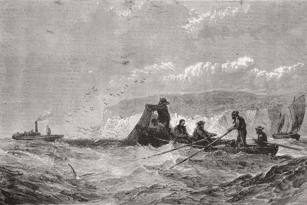 FISHING. For Pilchards with steam launch 1871 old antique print picture