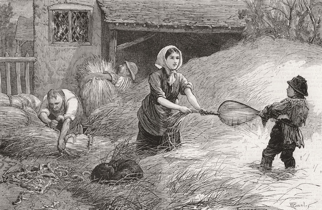 FARMING. Country notes-making up straw for market 1871 old antique print
