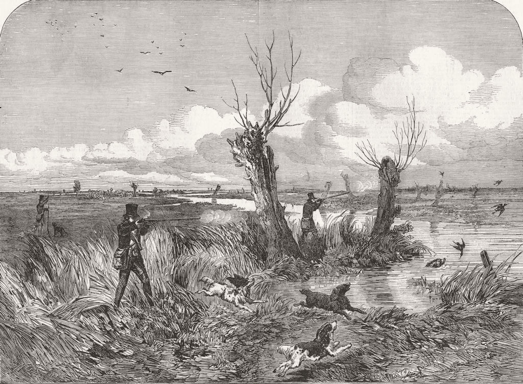 SHOOTING. Snipe shooting 1849 old antique vintage print picture