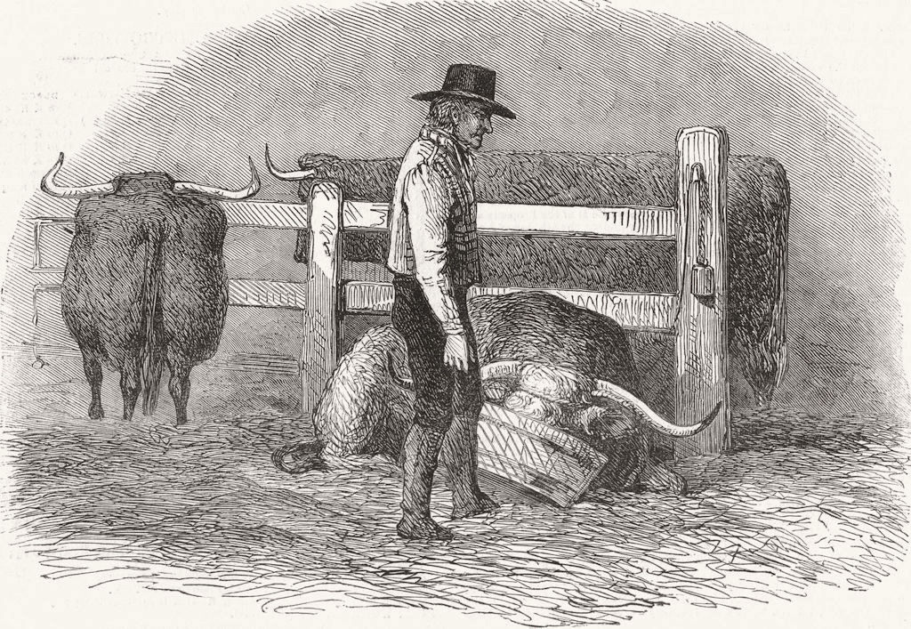 FARMING. Feeding 1849 old antique vintage print picture