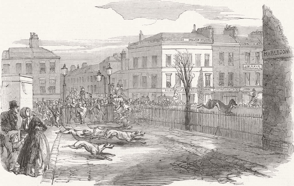 LONDON. Stag hunt, new Rd  1850 old antique vintage print picture