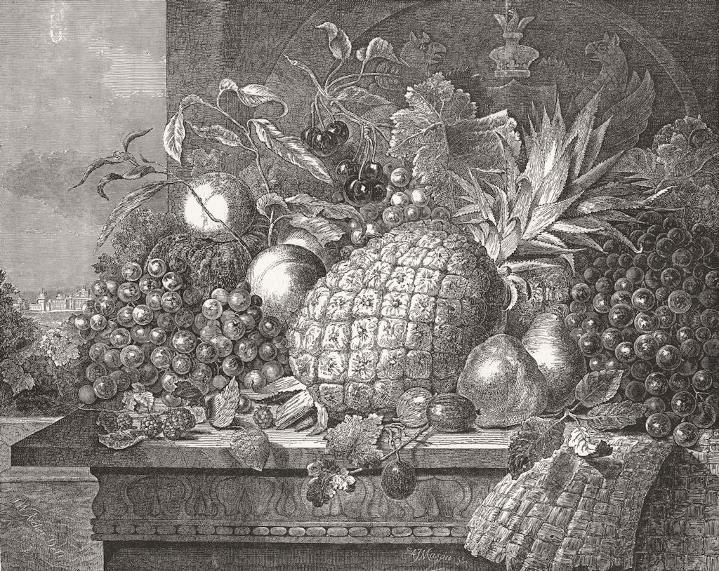 OXON. Prize fruit grown at Blenheim 1848 old antique vintage print picture