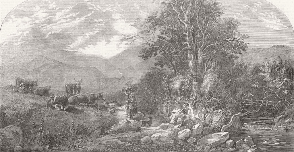 LANDSCAPES. Landscape and cattle 1859 old antique vintage print picture