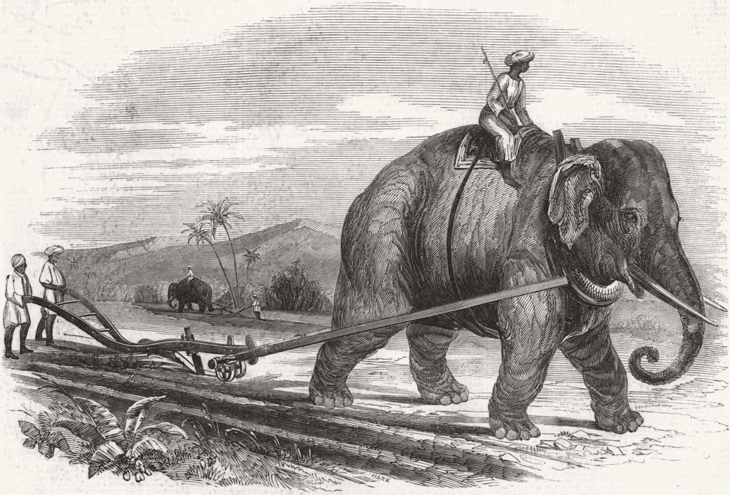 ELEPHANTS. Elephant plough, sugar plantation 1847 old antique print picture