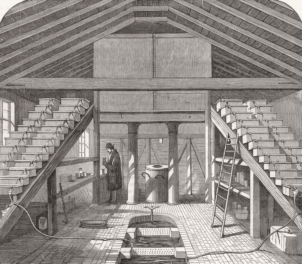 Associate Product LONDON. Fish-rearing house, Twickenham 1864 old antique vintage print picture