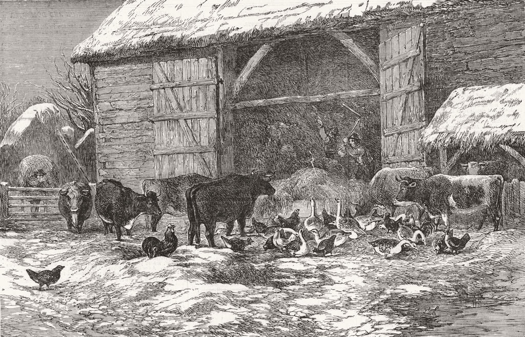 ANIMALS. Farmyard in snow-time 1855 old antique vintage print picture
