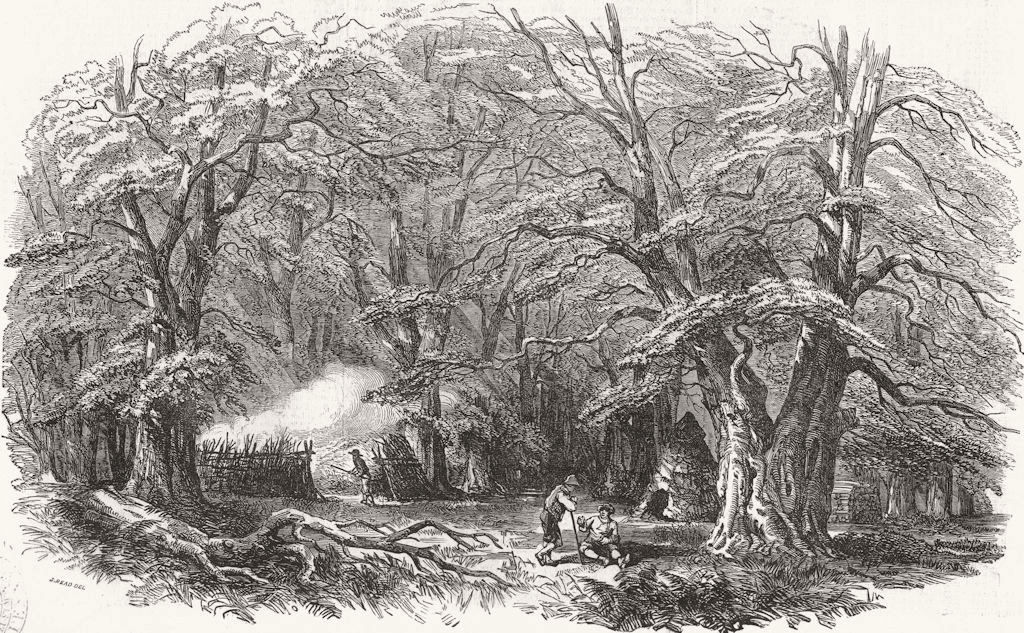 LANDSCAPES. Mark ash wood & charcoal burners 1848 old antique print picture