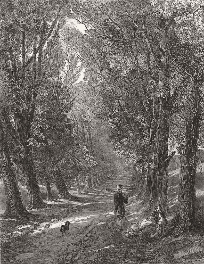 LANDSCAPES. Chequered shade 1848 old antique vintage print picture