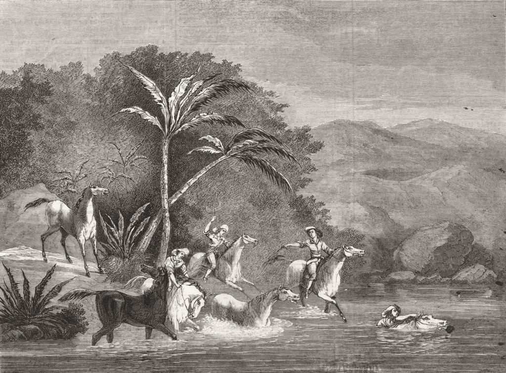 HUNTING. Horses, South America 1860 old antique vintage print picture