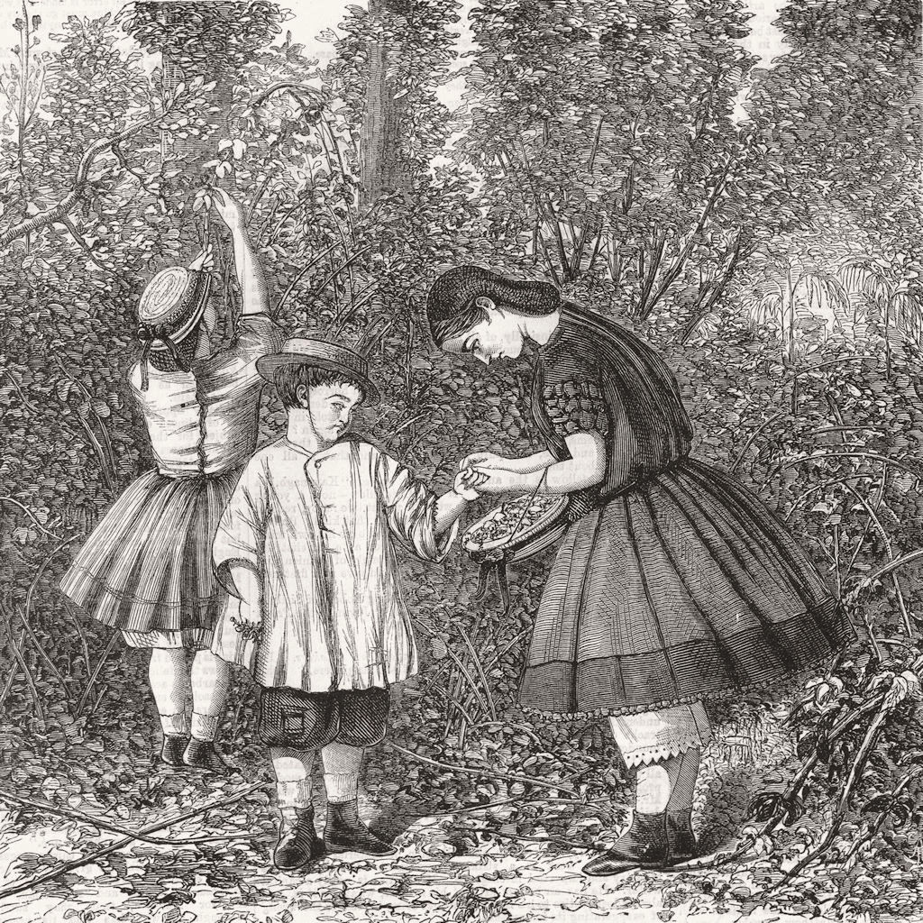 CHILDREN. Gathering blackberries. Extracting thorn 1863 old antique print