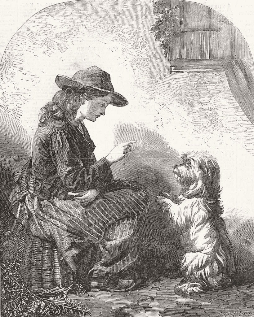 DOGS. Beg, Sir! 1857 old antique vintage print picture