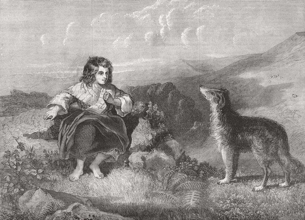 DOGS. Giving an order 1854 old antique vintage print picture