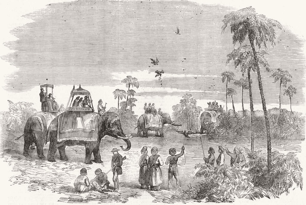 INDIA. Partridge-hawking in India 1857 old antique vintage print picture