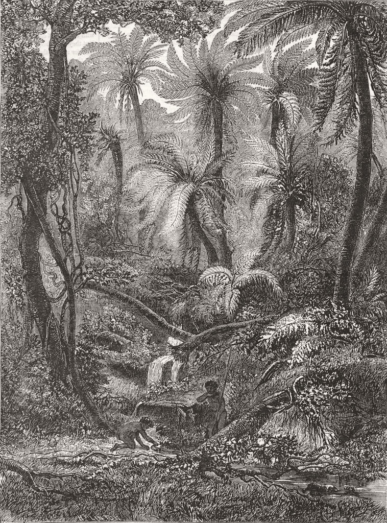 Associate Product AUSTRALIA. Fern-tree Gullet, Dandynong Ranges 1856 old antique print picture