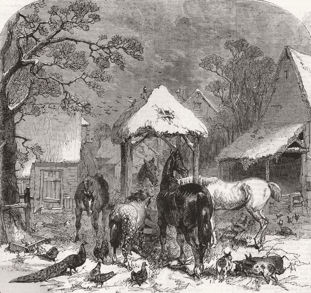 HORSES. The strawyard at Christmas 1859 old antique vintage print picture