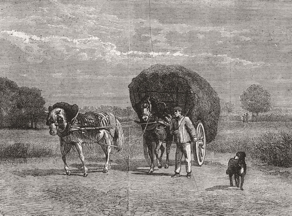 FARMING. The Hay-cart 1859 old antique vintage print picture