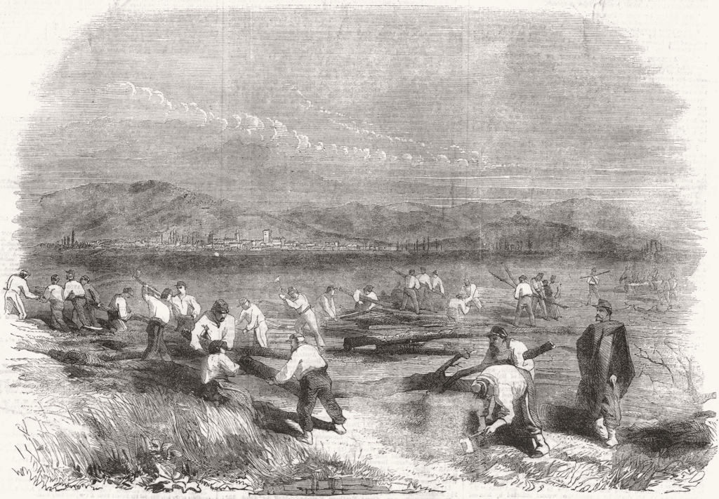 ALESSANDRIA. Sardinians felling trees 1859 old antique vintage print picture