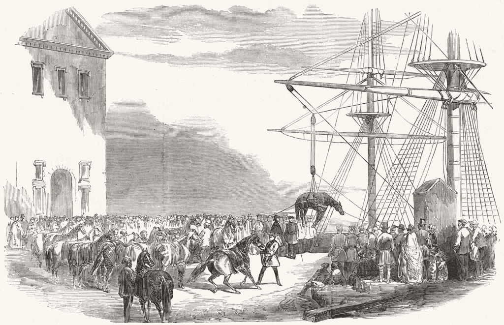MILITARIA. Mode slinging artillery horses boarding 1854 old antique print