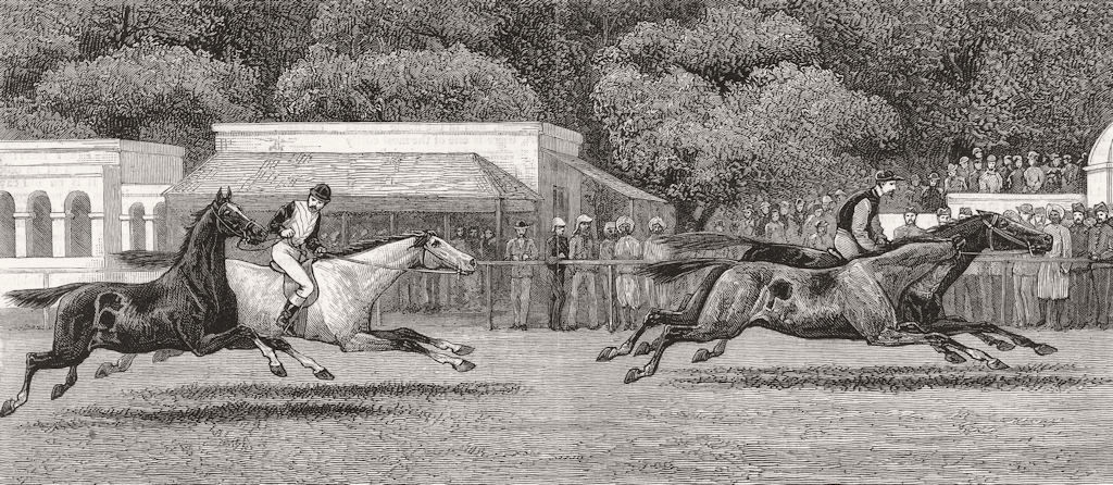 INDIA. Sport-postillion race, Sonepur 1881 old antique vintage print picture