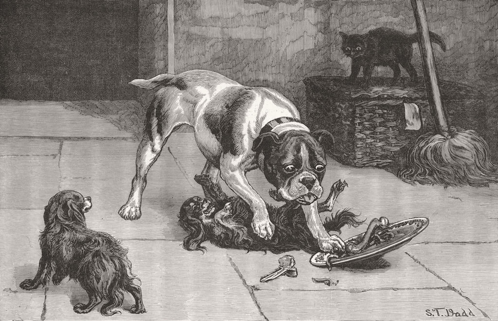 DOGS. Robbery with violence 1884 old antique vintage print picture