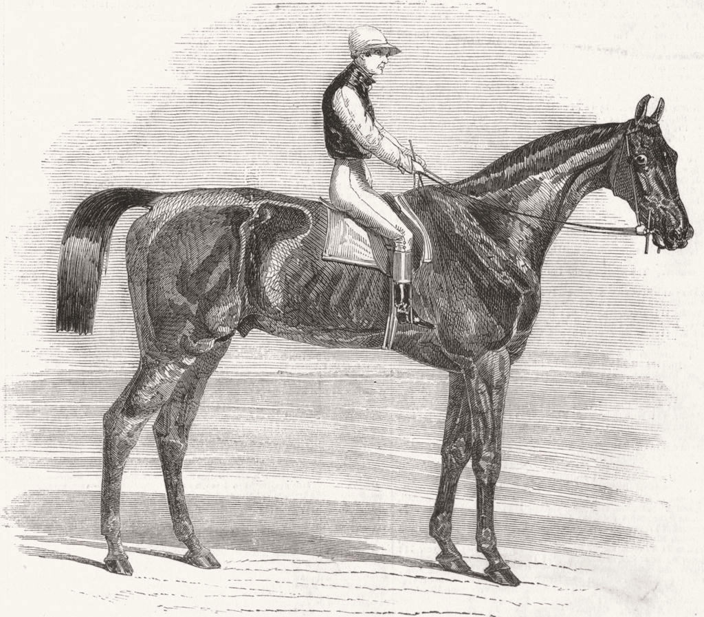 Associate Product NEWMARKET. Weathergage, winner Cesarewitch stakes 1852 old antique print