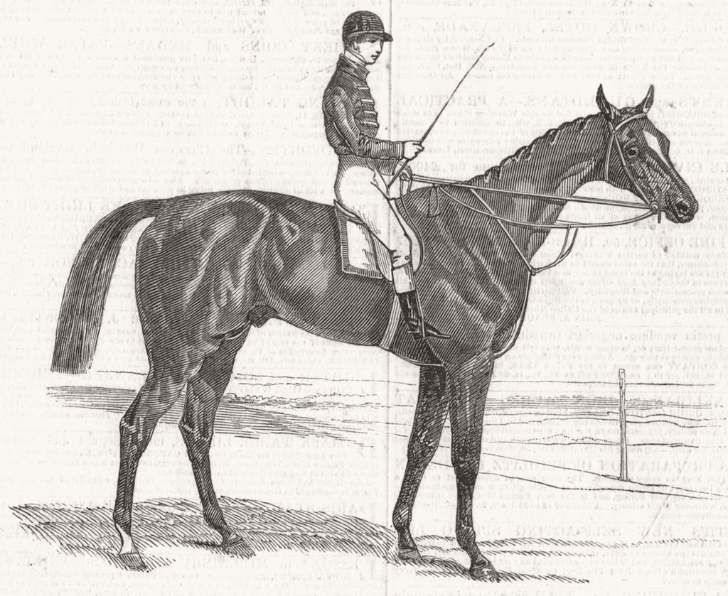 Associate Product BERKS. Alarm, winner of emperor's cup, Ascot 1846 old antique print picture
