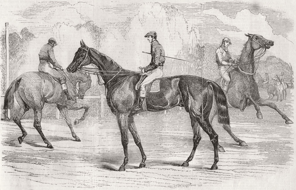 SURREY. Epsom races. Derby favourites 1856 old antique vintage print picture
