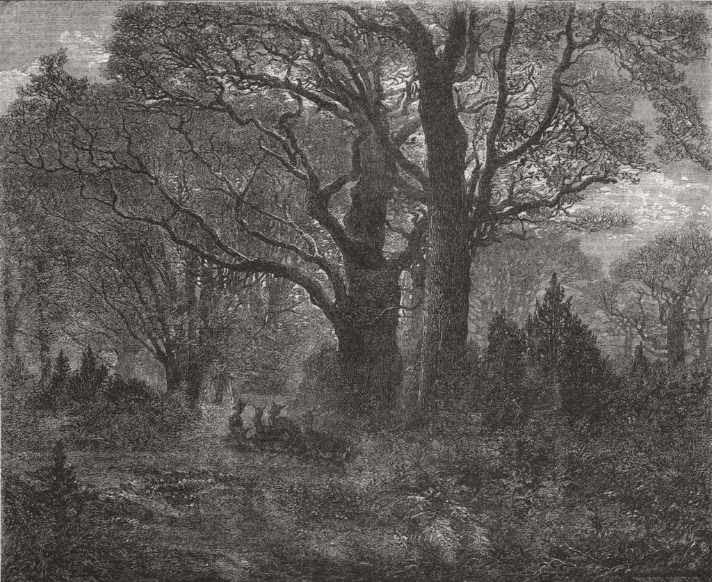 LANDSCAPES. Forest in Autumn 1858 old antique vintage print picture