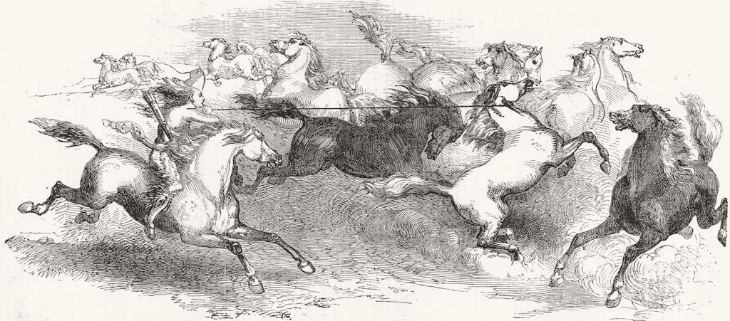 MILITARIA. Faton stone's capture of horse prairie 1851 old antique print