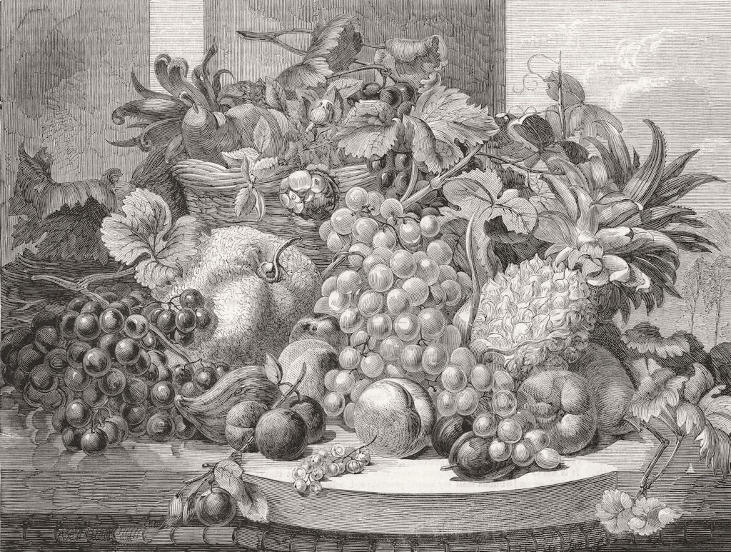 FOOD. Fruit, painted from nature 1859 old antique vintage print picture