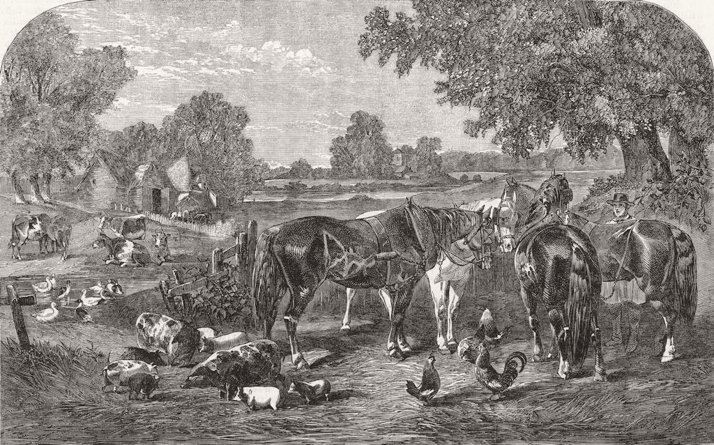 HORSES. The farmyard 1859 old antique vintage print picture