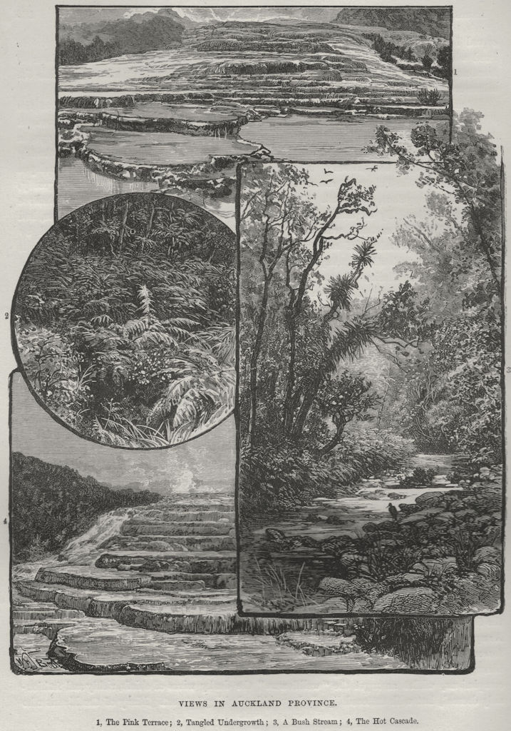 AUCKLAND. The Pink Terrace; A Bush Stream; The Hot Cascade 1882 old print