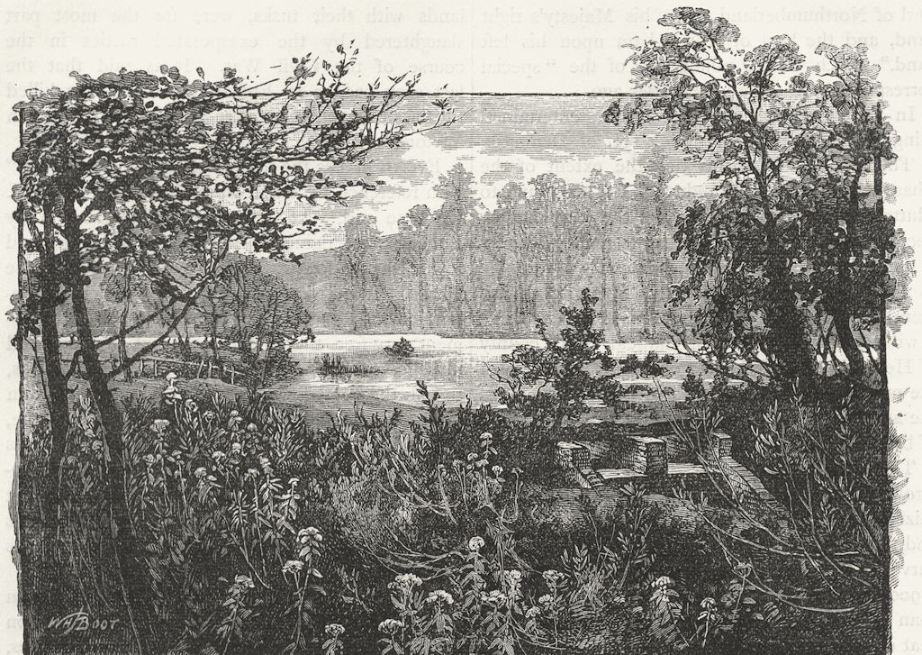 ENFIELD CHASE. View in Trent Park 1888 old antique vintage print picture