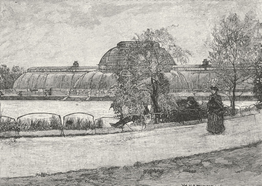 KEW GARDENS. The Palm House 1888 old antique vintage print picture