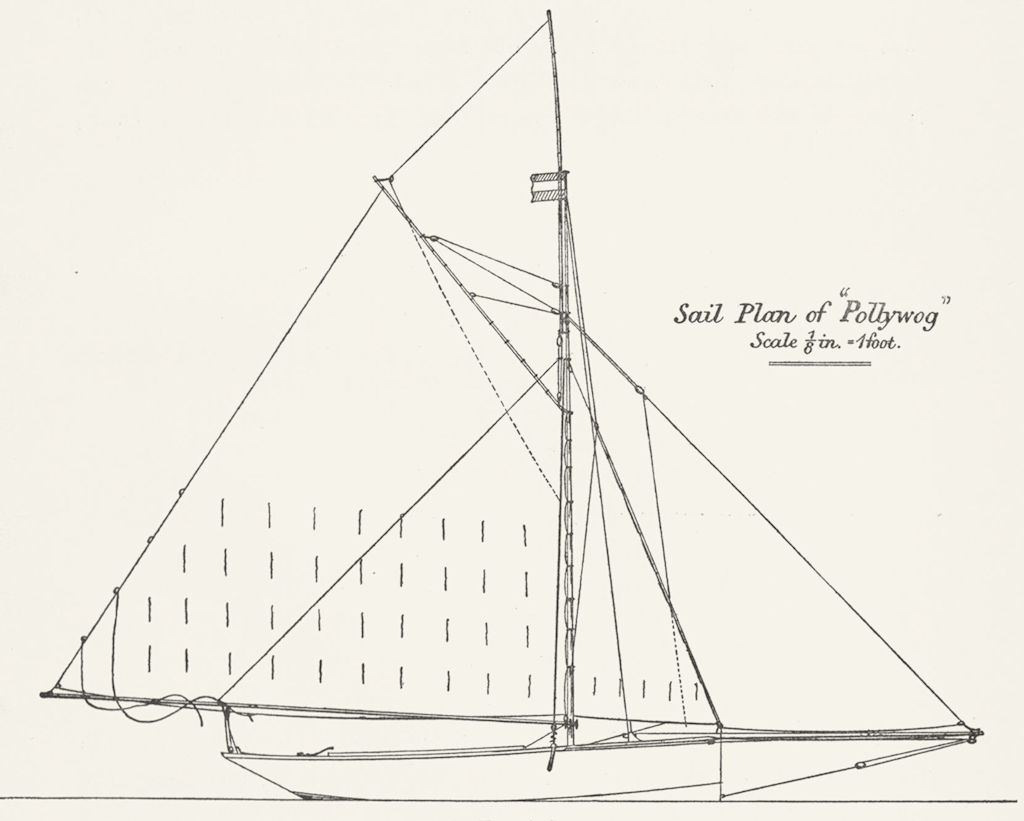 Associate Product YACHTS. Centre-board. Sail plan of 'Pollywog'-1 foot 1891 old antique print