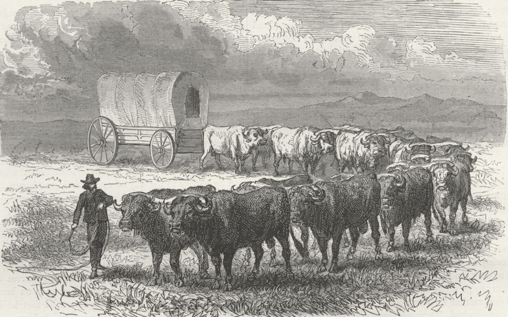 USA. Prairie Schooner-Emigrant wagon, plains 1880 old antique print picture