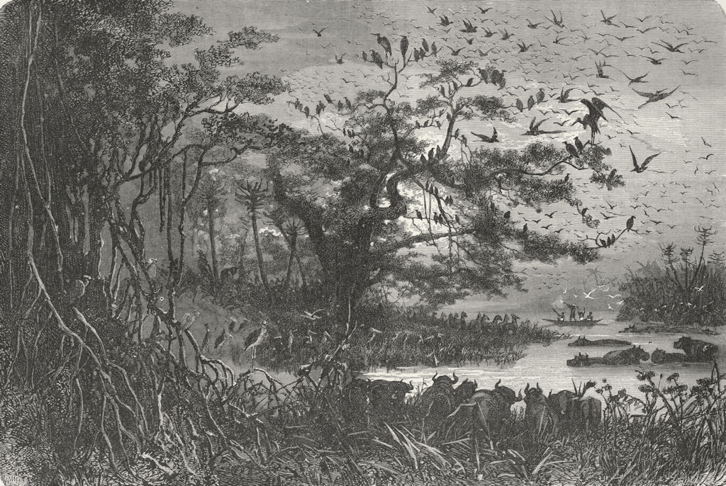 CENTRAL AFRICA. Lake scenery 1880 old antique vintage print picture