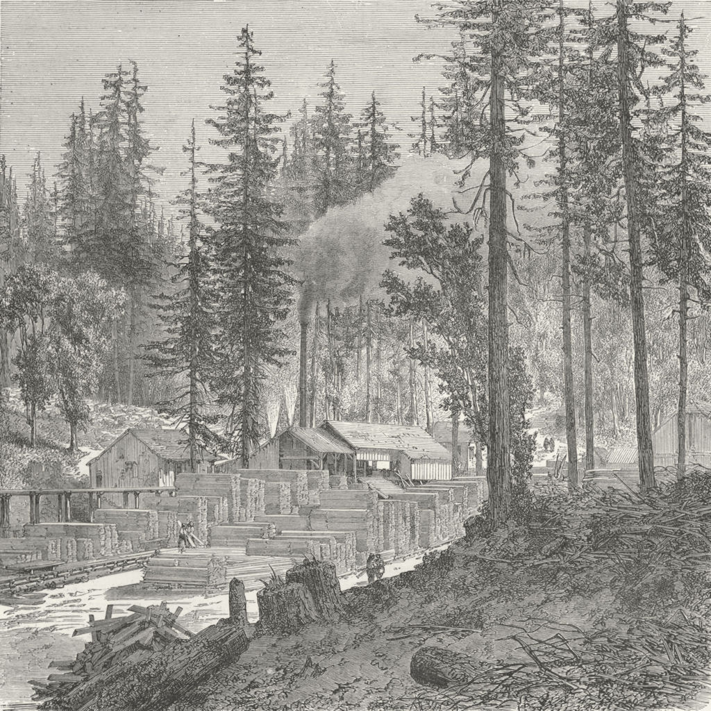 USA. Pacific railway. Saw mill in forest of pines 1880 old antique print