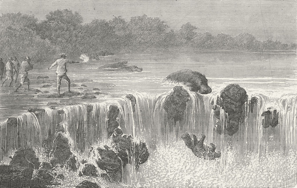 MALI. Hippopotami, falls of Senegal, in Bambouk 1880 old antique print picture