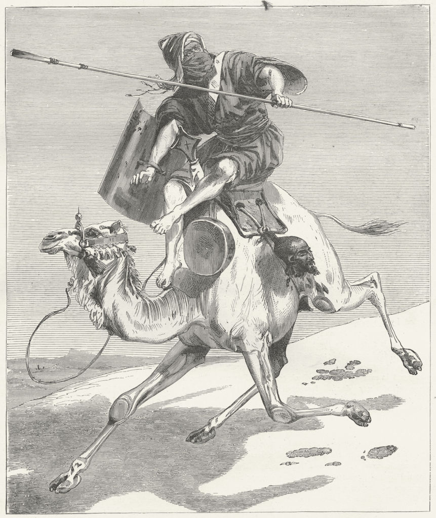 CAMELS. Moorish Warrior 1880 old antique vintage print picture