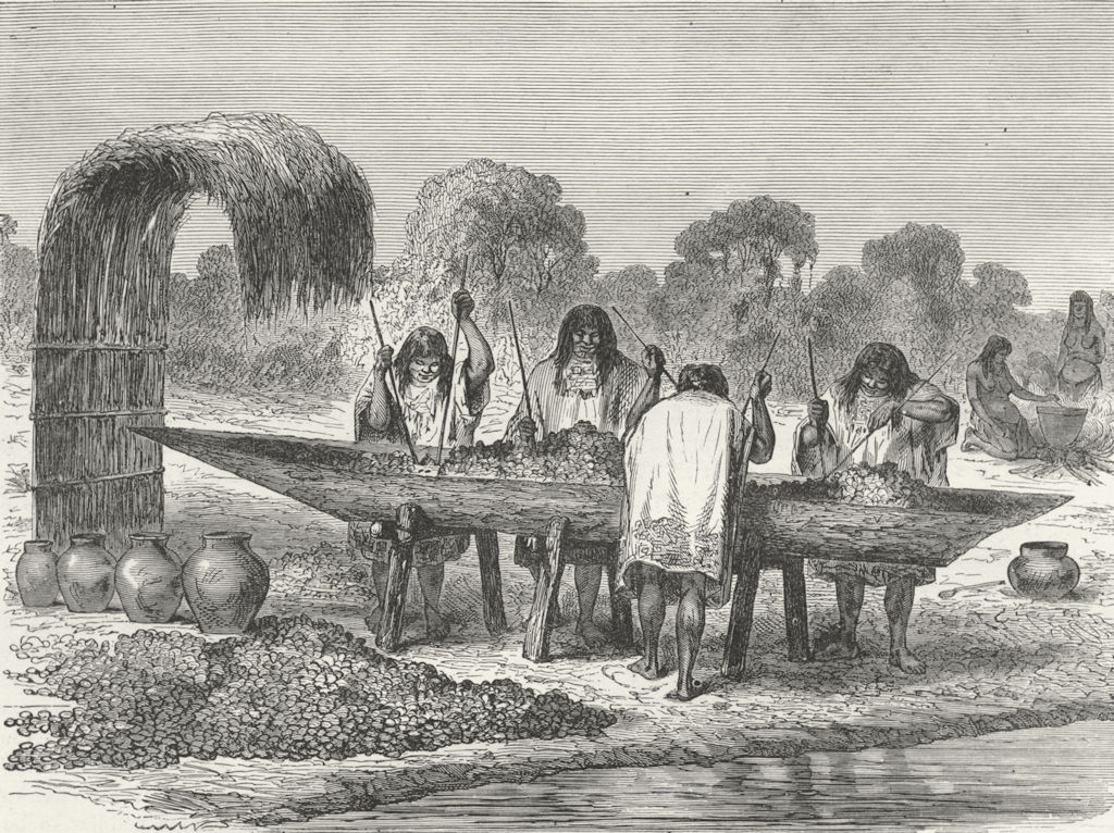 Associate Product BRAZIL. Indians mashing turtle eggs 1880 old antique vintage print picture