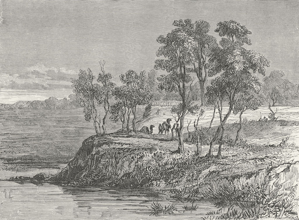 AUSTRALIA. Bush Queensland. Warrego creek 1880 old antique print picture