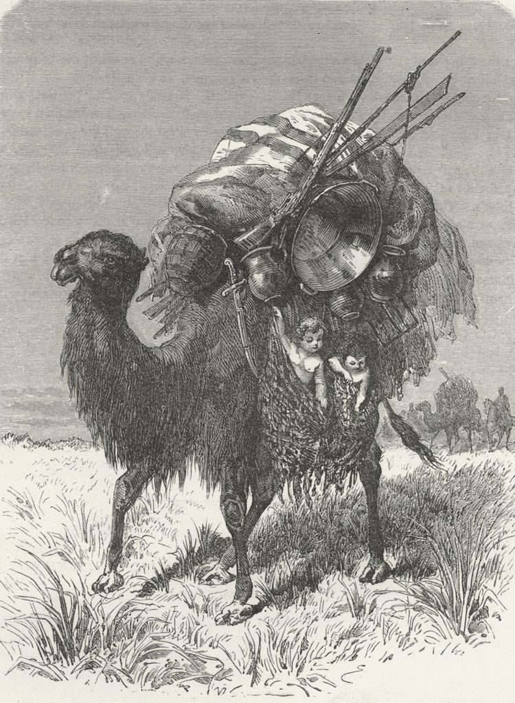 CHINA. Dzungaria. Camel of Tartar Emigrant 1880 old antique print picture