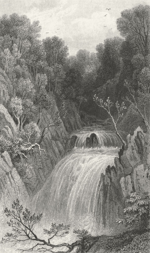 Associate Product WALES. Fall, Pont-y-Monach. Cardigan waterfall c1831 old antique print picture